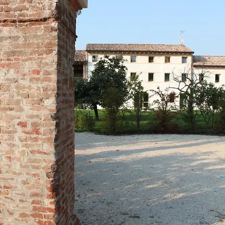 Caspineda Montebelluna