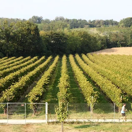 Alloggio per agriturismo Caspineda