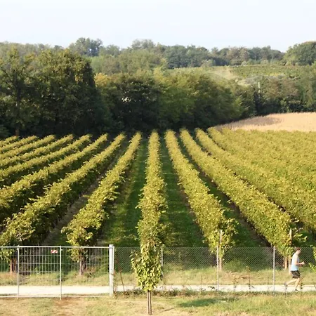 Farm stay Caspineda