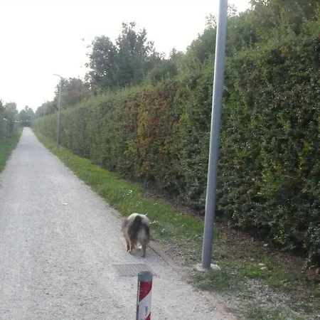 Feriegård Caspineda *