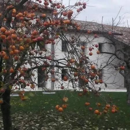 Caspineda Farm stay *
