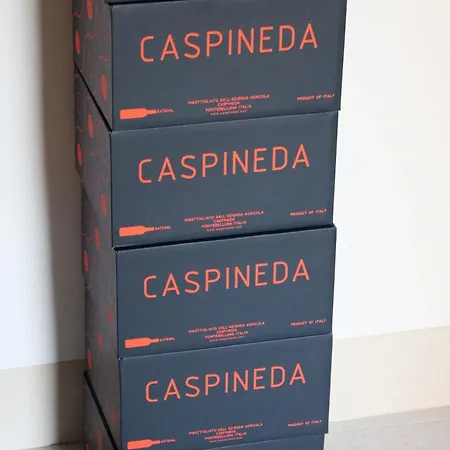 Bauernhof Caspineda *