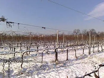 Agroturismo Caspineda