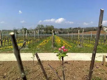 Caspineda